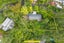 32 Rangiwai Road, Titirangi, Auckland - Carousel 32