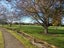 53 Clarke Avenue, Highbury, Palmerston North - Carousel 20