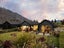 2 Caithness Court, Jacks Point, Queenstown - Carousel 3