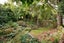 221B Victoria Avenue, Hokowhitu, Palmerston North - Carousel 33