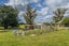 36 Tamumu Road, Waipawa, Waipawa - Carousel 23