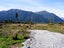0 Bruce Bay, Bruce Bay, Haast - Carousel 5