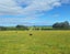 60 Forest Hill Cemetery Road, Lochiel, Winton - Carousel 12