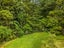 271 Apotu Road, Kamo - Carousel 21