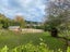 56 Pohara Valley Road, Pohara - Carousel 6