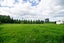 293 Koputarao Road, KOPUTAROA, SHANNON - Carousel 23