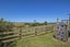 746 Puketitoi Road, Titoki, Whangarei - Carousel 32