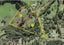 94 Coatesville Heights, Coatesville - Carousel 11