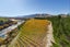 1290 Luggate - Tarras Road, Tarras, Cromwell - Carousel 6