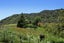 1707 State Highway 35, Torere, Opotiki - Carousel 22