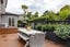 65B Speight Road, St Heliers, Auckland - Carousel 25