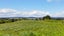 56 Sharp Road, Hamurana - Carousel 30