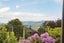 12 Ventnor Street, Mornington, Dunedin - Carousel 39