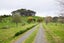 2212 Matawai Road, Te Karaka, Te Karaka - Carousel 11