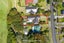 40 Rathlin Street, Blockhouse Bay, Auckland - Carousel 26