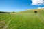 64 Littles Drive, Waikari, Waikari - Carousel 4
