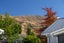 13A Niger Street, Wanaka - Carousel 27