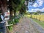 731 Pyes Pa Road, Pyes Pa, Tauranga - Carousel 25