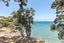12 Gray Crescent, Torbay, Auckland - Carousel 12