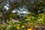 13 Windsor Place, Windsor Park, Auckland - Carousel 37