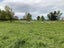 282 Back Track, Rakaia - Carousel 25