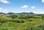 218 State Highway 12, Brynderwyn, Maungaturoto - Carousel 40