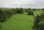 695A Gordonton Road, Gordonton, Hamilton - Carousel 38