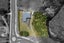 3 Pukemapu Road, Tauranga - Carousel 27