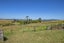 746 Puketitoi Road, Titoki, Whangarei - Carousel 35
