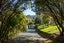 35 Hollyman Road, Hira - Carousel 4