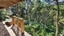 48 Schoolhouse Bay Road, Kawau Island, Hauraki Gulf Islands, Auckland - Carousel 12