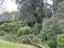 37 Anthony Crescent, Bader, Hamilton - Carousel 12