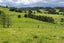 0 Hukerenui Road, Hukerenui, Hikurangi - Carousel 11