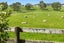 173B Fletcher Road, Waimauku, Waimauku - Carousel 25