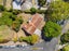 20 Horne Street, Hamilton Central, Hamilton - Carousel 14