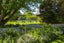 374 Papatu Road, MANUTUKE, Manutuke - Carousel 46
