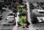 48 Letts Gully Road, Letts Gully, Alexandra - Carousel 25