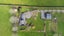 2076 Morrinsville-Walton Road, Richmond Downs, Walton - Carousel 24
