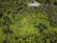 223 Peria Road, Peria - Carousel 33