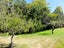 57 Nonoti Road, Cheviot, Cheviot - Carousel 28