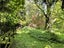 1097 Milton Highway, Lovells Flat - Carousel 42