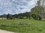 17 Para Railway Road, Koromiko - Carousel 7