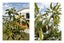 16 Emme Allan Road, Kawerau, Kawerau - Carousel 14