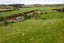 2212 Matawai Road, Te Karaka, Te Karaka - Carousel 7