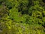 223 Peria Road, Peria - Carousel 30