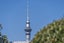 24 Moira Street, Ponsonby, Auckland - Carousel 26