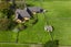 250B Pencarrow Road, Tamahere, Hamilton - Carousel 37