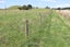 991 East Road, Toko, Stratford - Carousel 27