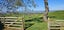 461G Minden Road, Minden, Tauranga - Carousel 27