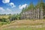 0 Newman Road, Stillwater, Silverdale - Carousel 7
